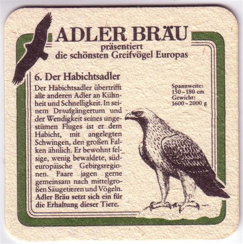 zuzenhausen hd-bw dachs adler greif 7b (quad180-6 der habichtsadler) 